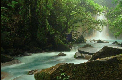 Parque Nacional Volcán Tenorio